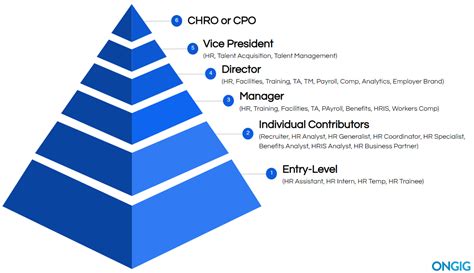 levels of human resources positions